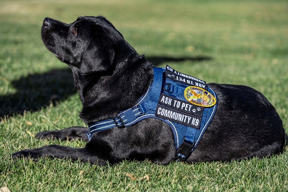 An Image of the Henderson Police Department's Community Engagement's Dog Officer Jinx